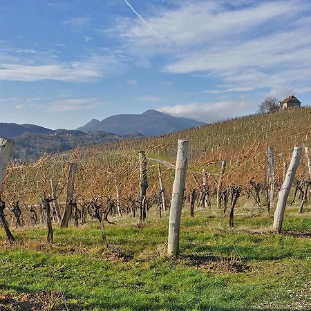 Chalet Rogla בקתה